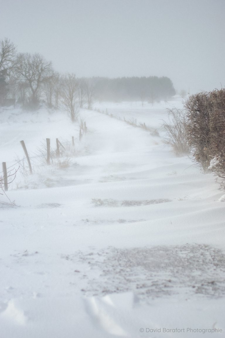 Hiver Cayres