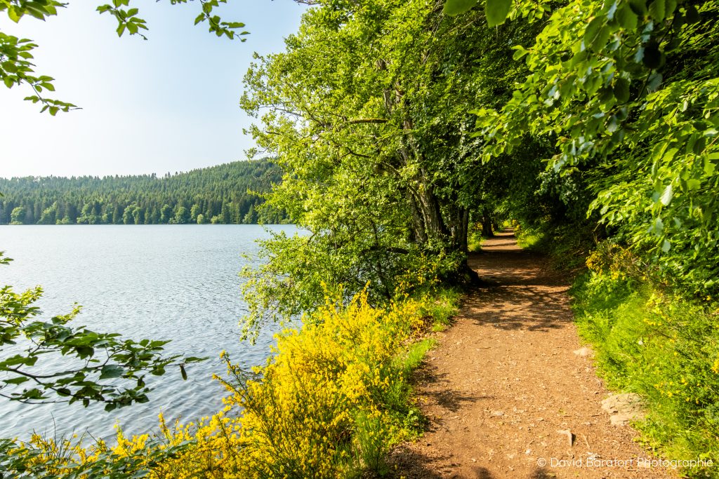 Lac du Bouchet printemps